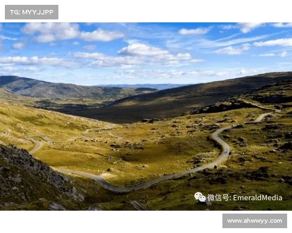 2017年爱尔兰科克城盛大赛事全纪录重温那些激动人心的竞技时刻