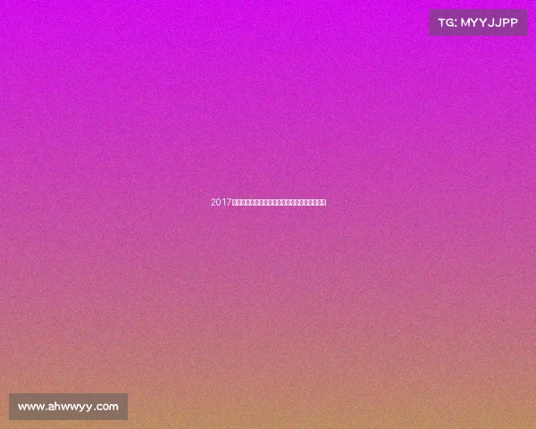 2017沈阳赛事激情燃烧现场观战体验与珍贵记忆回顾