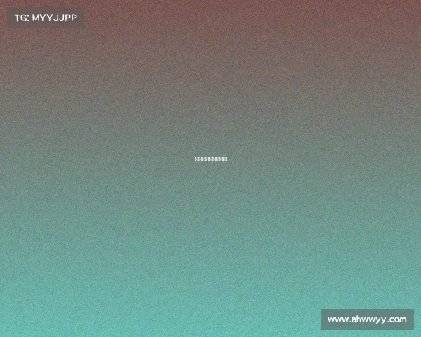 星途之星总决赛名单